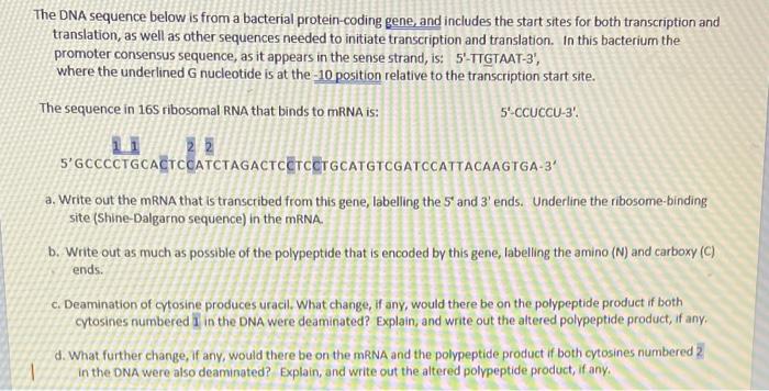 Solved The DNA sequence below is from a bacterial | Chegg.com