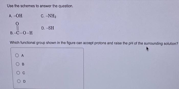 Solved Use The Schemes To Answer The Question. A. -OH C. NH, | Chegg.com