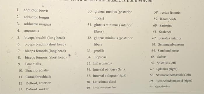 1. adductor brevis
30. gluteus medius (posterior
58. rectus femoris
2. adductor longus fibers)
59. Rhomboids
3. adductor magn