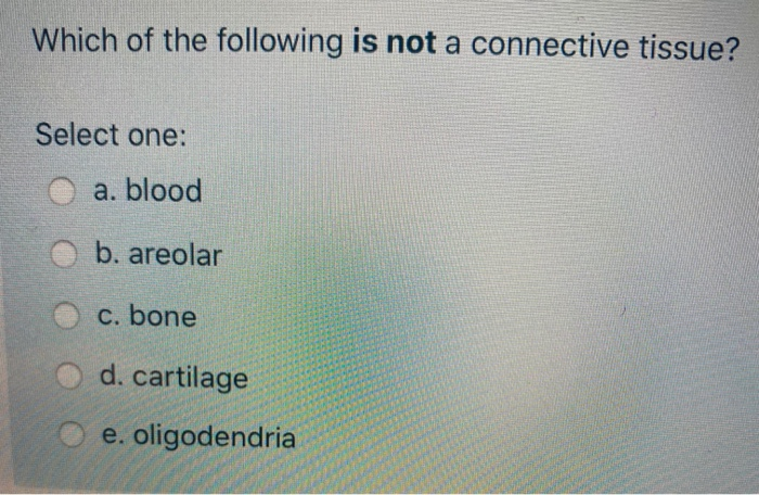 solved-which-of-the-following-is-not-a-connective-tissue-chegg