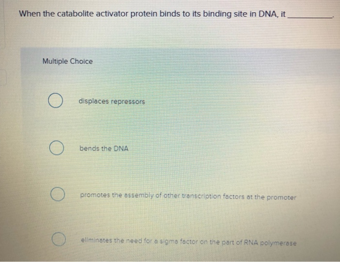 Solved When the catabolite activator protein binds to its | Chegg.com