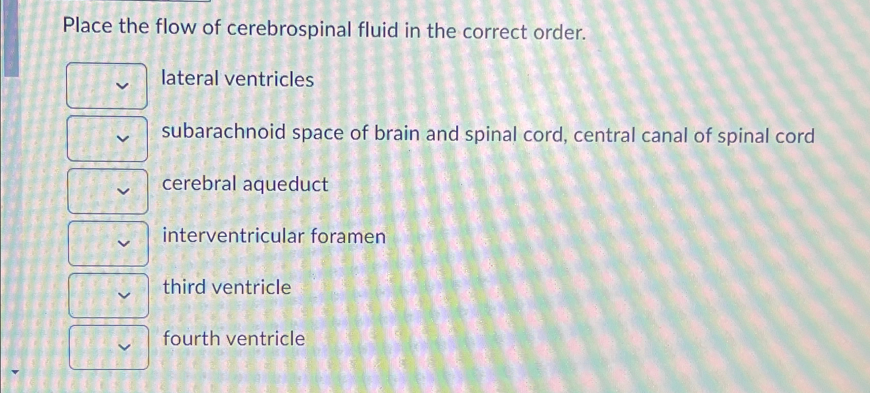 Solved Place the flow of cerebrospinal fluid in the correct | Chegg.com