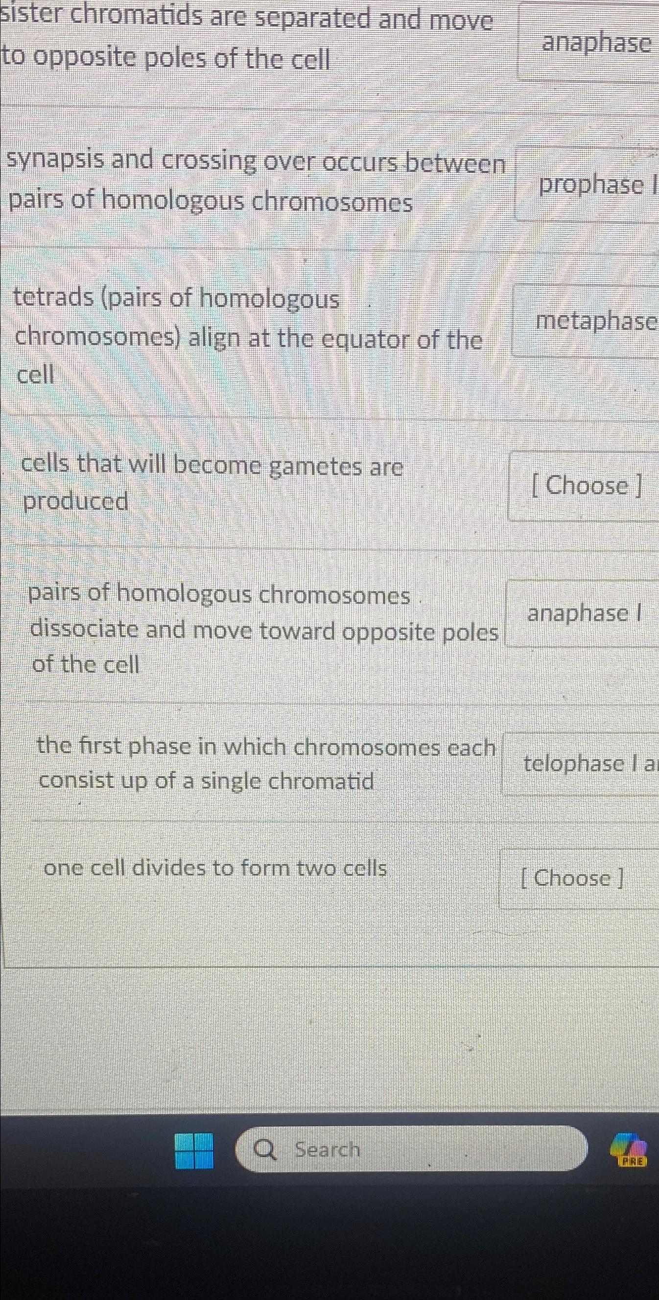 Solved sister chromatids are separated and move to opposite | Chegg.com