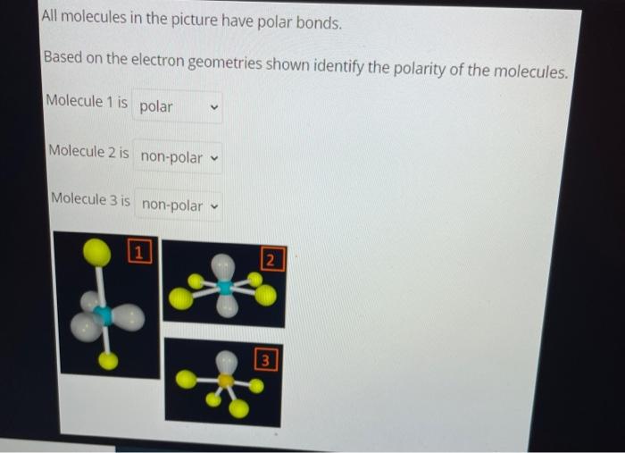 Solved All molecules in the picture have polar bonds. Based | Chegg.com