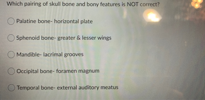 Which Is Not A Correct Pairing Of Bone And Feature