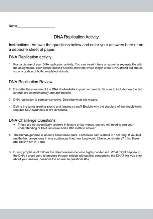 Solved DNA Replication Activity Instructions: Answer the | Chegg.com