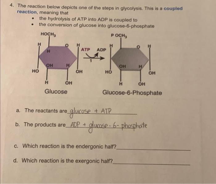 conversion reaction meaning