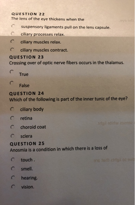 Solved Question 22 The Lens Of The Eye Thickens When The Chegg Com