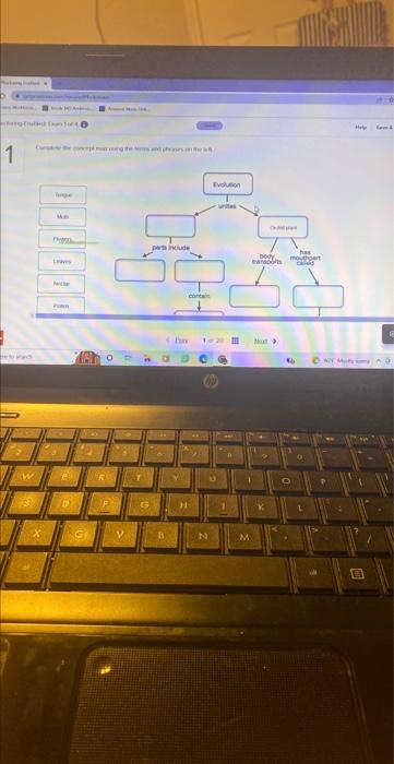 solved-complete-the-concept-map-using-the-terms-and-phrases-chegg