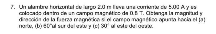 Un alambre horizontal de largo \( 2.0 \mathrm{~m} \) lleva una corriente de \( 5.00 \mathrm{~A} \) y es colocado dentro de un