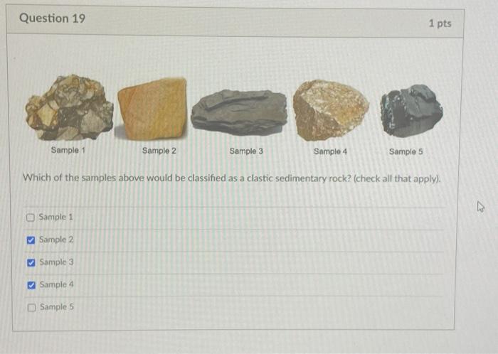 Solved Which of these sedimentary rocks would be classified | Chegg.com