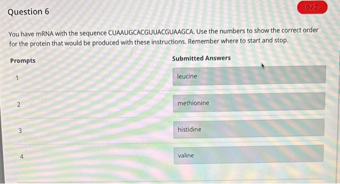 Solved You have mRNA with the sequence | Chegg.com