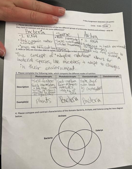 Solved Friday Assignment 10/6/2023 (20 points) Circle: 9 AM 