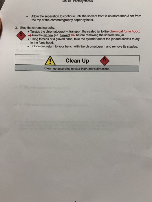 Lab 10. Photosynthesis Paper Chromatography and Plant