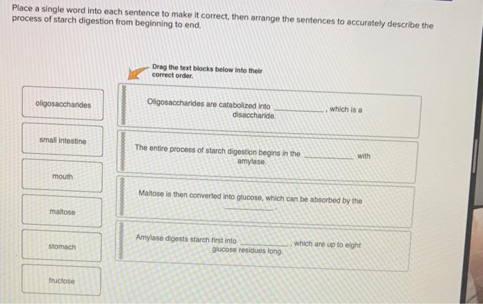 solved-place-a-single-word-into-each-sentence-to-make-it-chegg