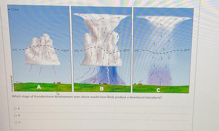 Solved Which stage of thunderstorm development seen above | Chegg.com