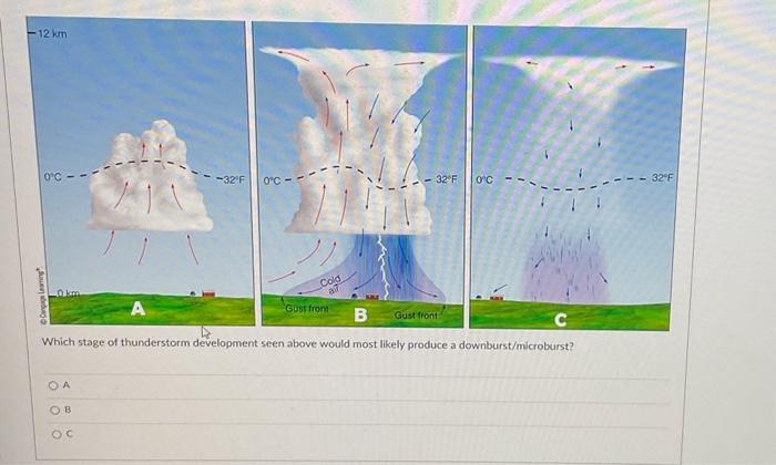 Solved Which Stage Of Thunderstorm Development Seen Above | Chegg.com