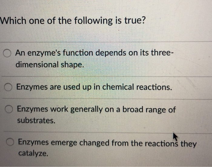Solved Which one of the following is true? An enzyme's