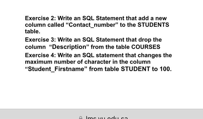 Solved PK Exercise 1: Write an SQL statement to create the | Chegg.com