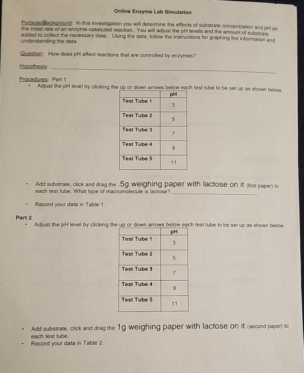 Online Enzyme Lab Simulation Purpose Background In