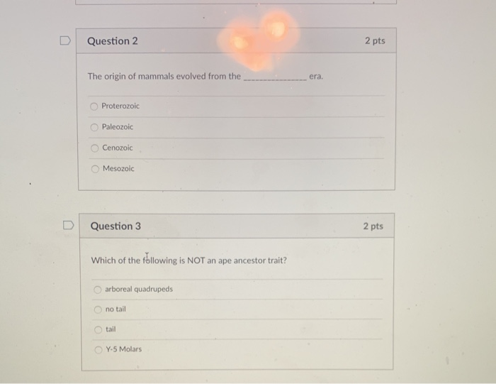 origin of mammals assignment