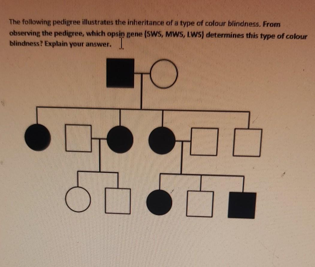 Solved The following pedigree illustrates the inheritance of