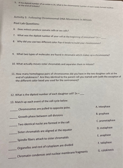 Solved 5. If the diploid number of an onion is 16, what is | Chegg.com