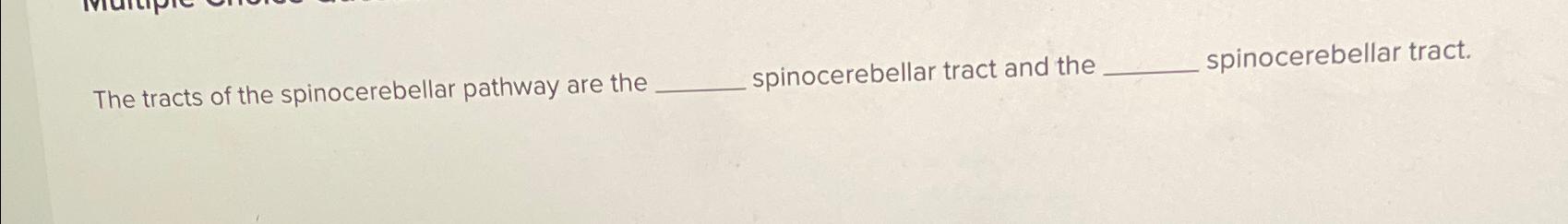 Solved The tracts of the spinocerebellar pathway are the | Chegg.com