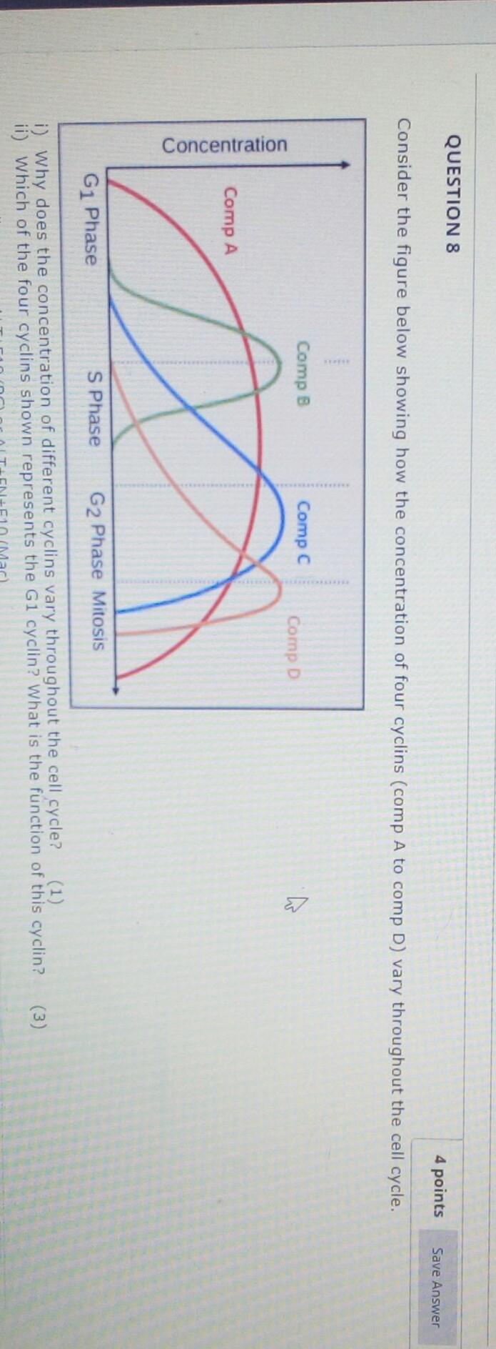 Solved QUESTION 8 4 points Save Answer Consider the figure | Chegg.com