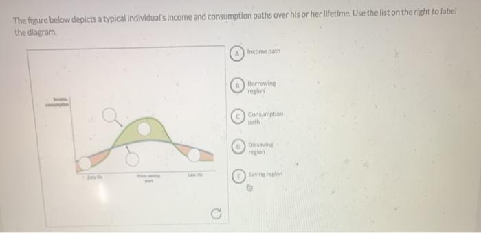 Solved The figure below depicts a typical Individual's | Chegg.com