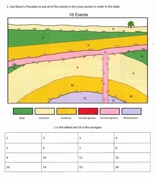 Solved 1. Use Steno's Principles to put all of the events in