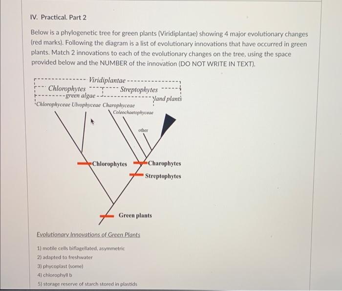 Solved IV. Practical. Part 2 Below is a phylogenetic tree | Chegg.com