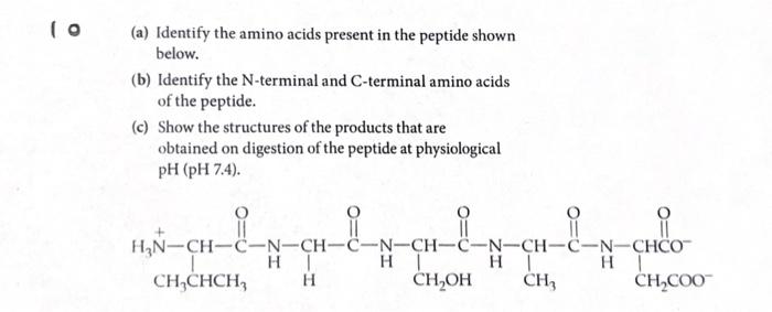 Solved (a) Identify the amino acids present in the peptide | Chegg.com