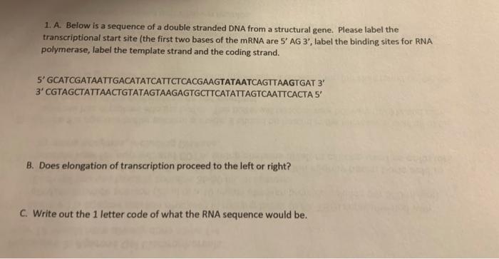 Solved 1. A. Below is a sequence of a double stranded DNA | Chegg.com