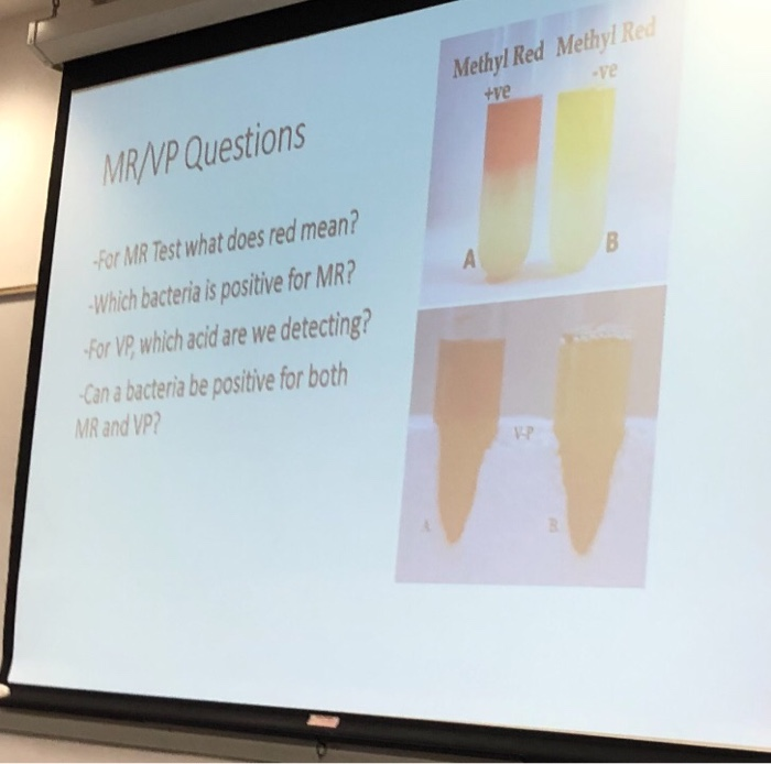 Mr Test Example Solved Methyl Red Methyl Red ve MR/V/P Questions For MR Test | Chegg.com