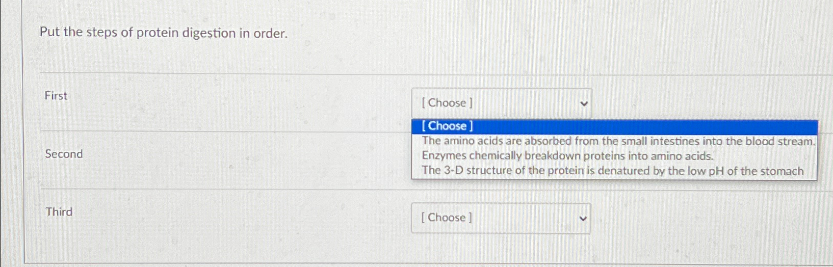 Solved Put the steps of protein digestion in | Chegg.com