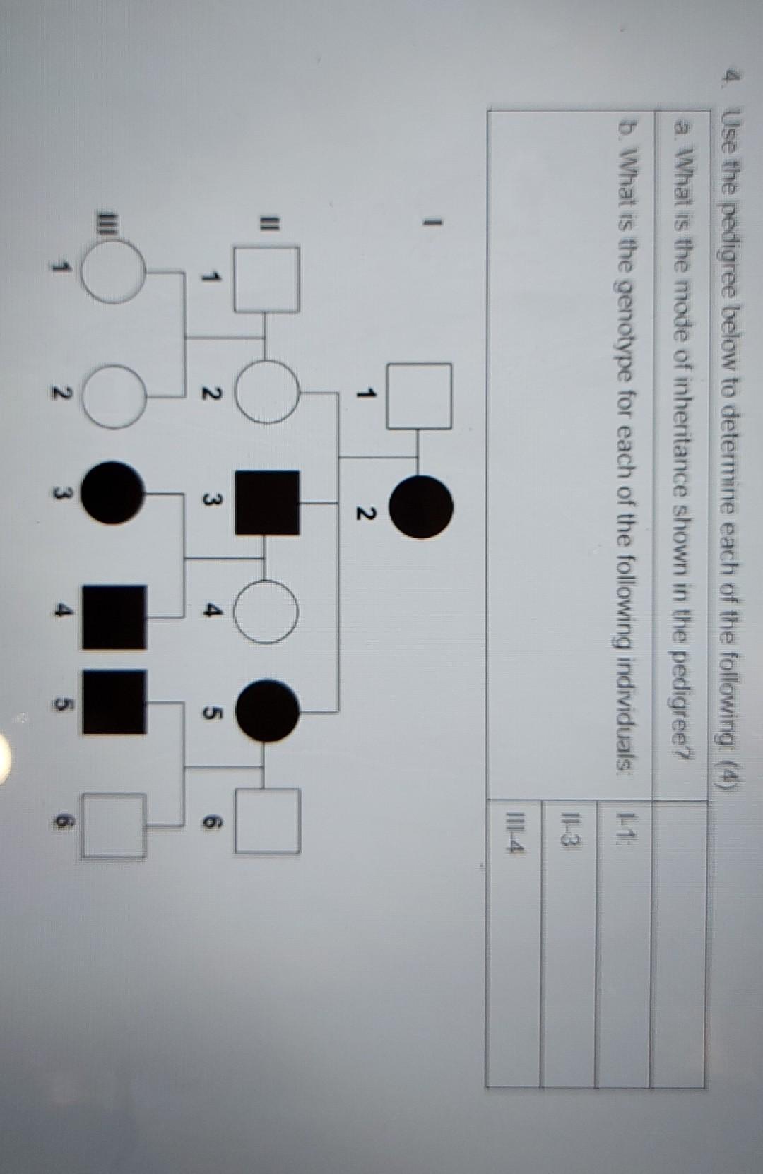 Solved 4. Use the pedigree below to determine each of the | Chegg.com