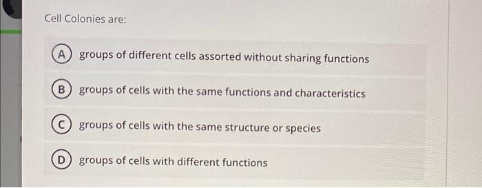 Cell Colonies are: groups of different cells assorted | Chegg.com