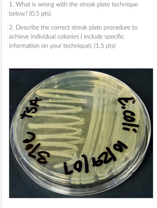 Solved 1. What is wrong with the streak plate technique