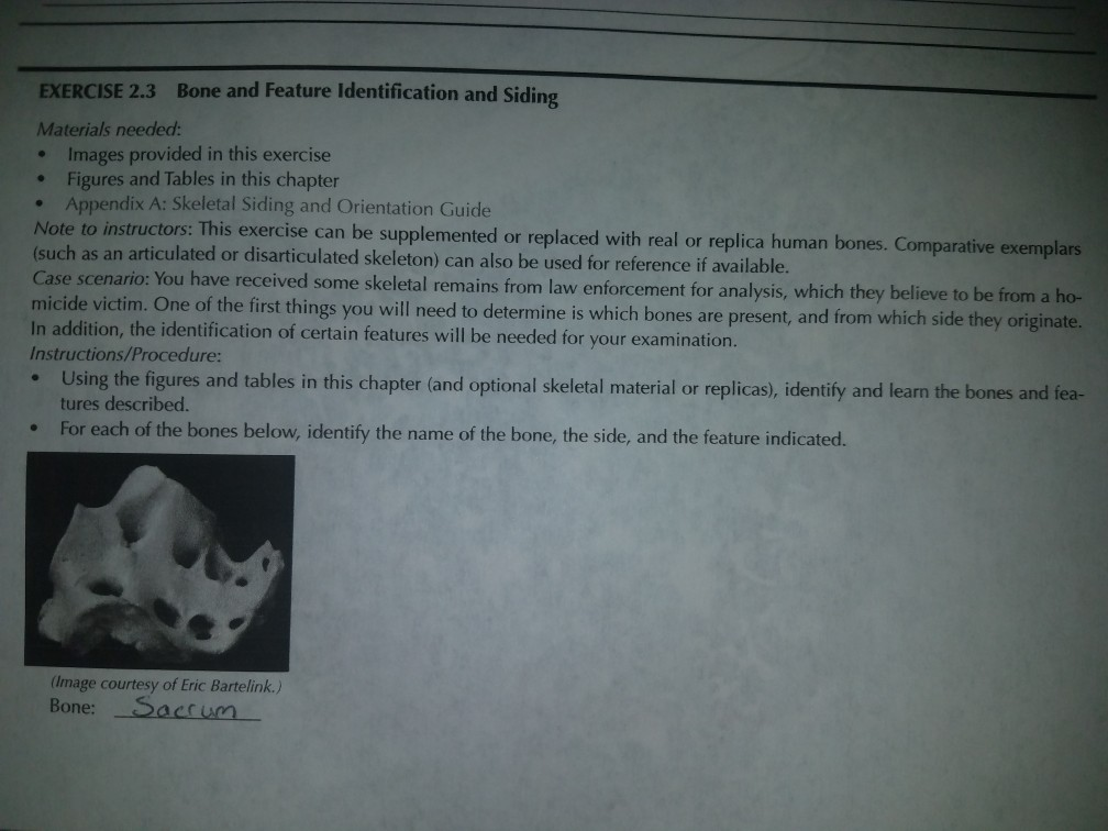 Solved EXERCISE 2.3 Bone and Feature Identification and | Chegg.com
