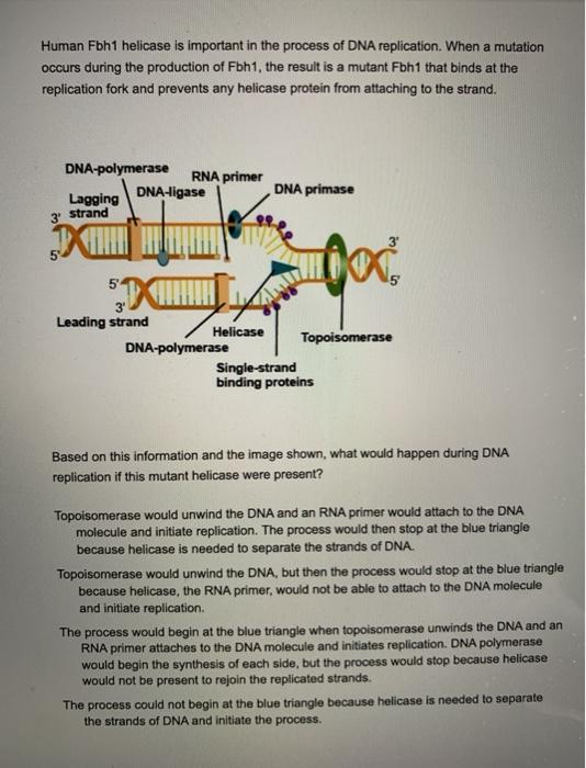 solved-human-fbh1-helicase-is-important-in-the-process-of-chegg