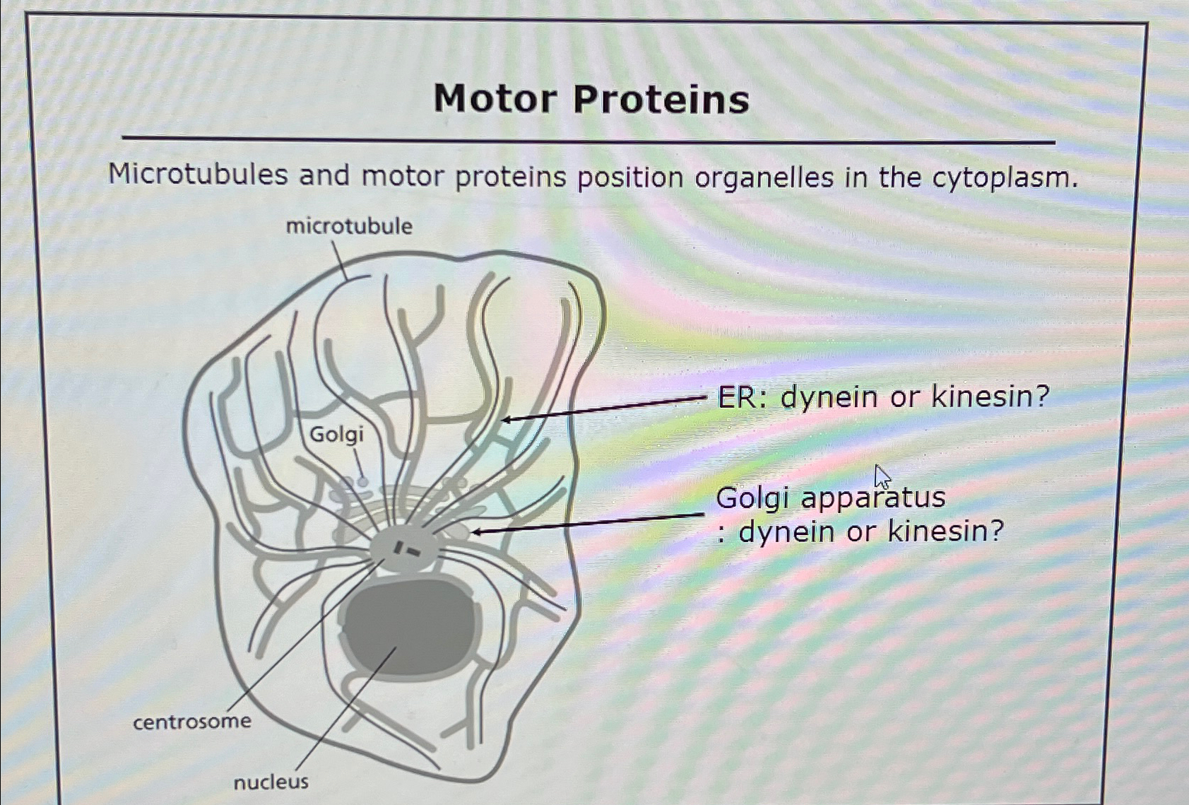 Solved Motor ProteinsMicrotubules and motor proteins | Chegg.com