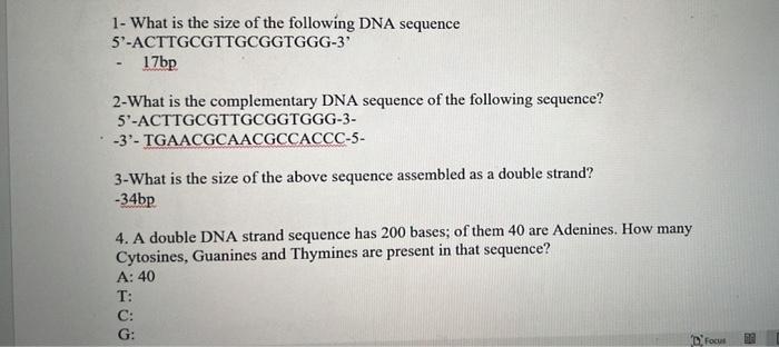 1- What Is The Size Of The Following Dna Sequence 