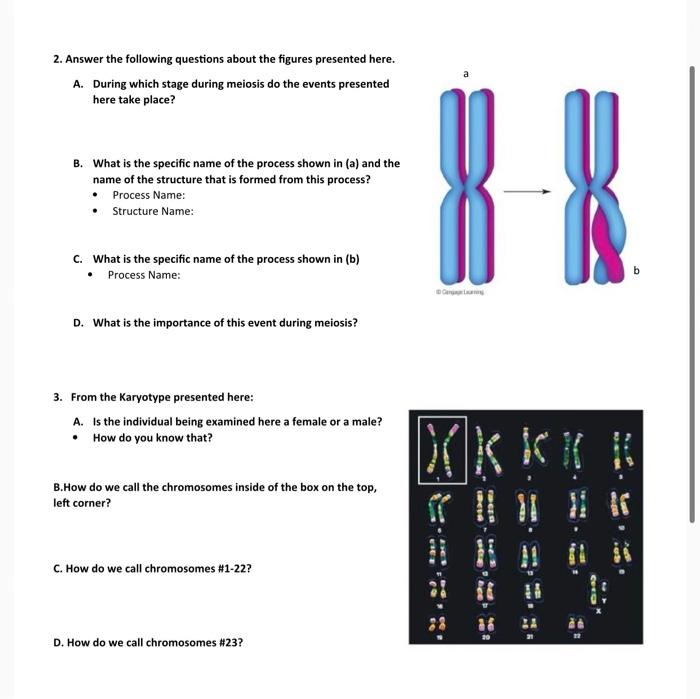 Solved 2. Answer the following questions about the figures | Chegg.com