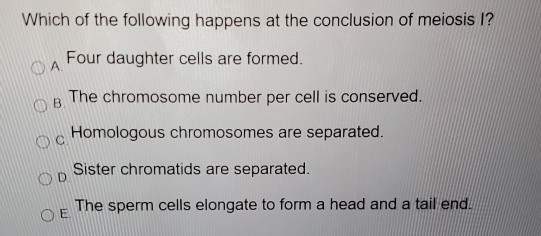 Solved Which Of The Following Is True? Sister Chromatids | Chegg.com Solved Which Of The Following Is True? Sister Chromatids | Chegg.com