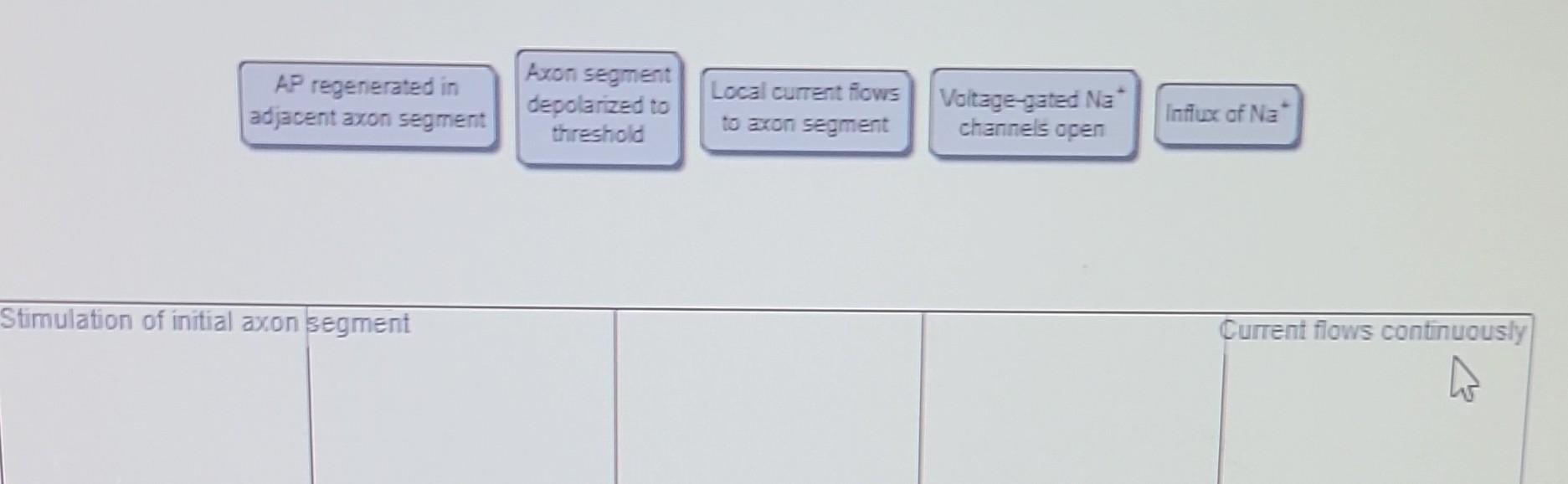 Solved Stimulation of initial axon segment Current flows | Chegg.com