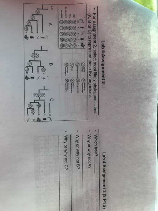 unit 2 assignment 4 applied science