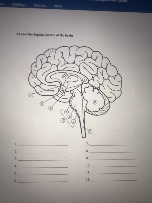 review of thebrain 9 review of thebrain 9