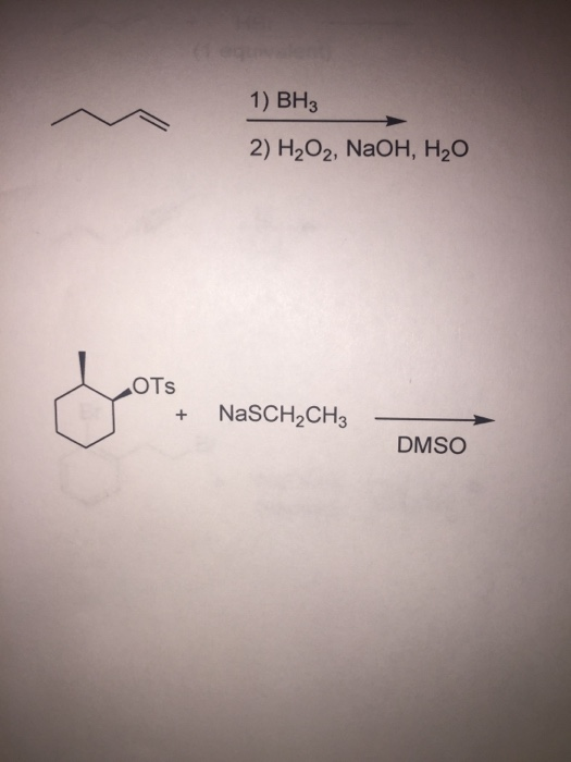 Solved provide structures for the major organic products of | Chegg.com