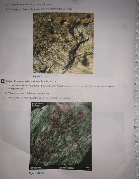 Solved D Analyze the foliated metamorphic rock sample in | Chegg.com